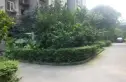 四川日报宿舍实景图