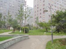 此房格局好,中间楼层,房子为商品房,电梯小高层