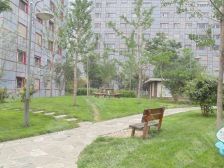 兴唐国翠城3室2厅南北