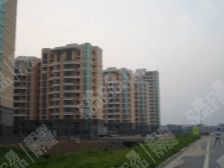 全明户型 采光充足 出门湿地公园