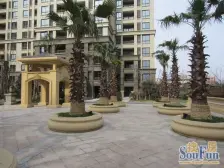 双澧溪 近18号繁荣路800米 电梯高层 精装修 视野无遮挡