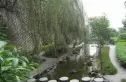 桃源山庄实景图