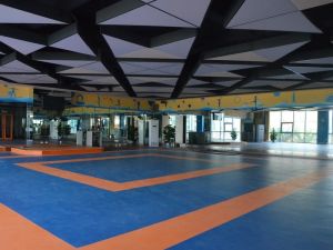 潇湘奥林匹克花园3室2厅南
