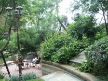 龙城高新天地 1室0厅 西北