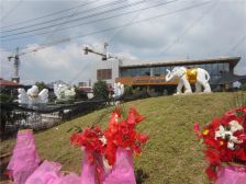 德商春天里 电梯洋房 婚房装修 不临街不把山