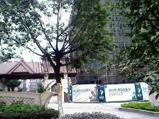 小区出入方便,户型好,采光充足