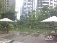 城西电梯大两房,一楼住家装修,