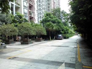 新和理想家2室1厅东南