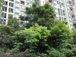 新和理想家实景图