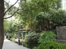 新宏安家园 2室1厅 南