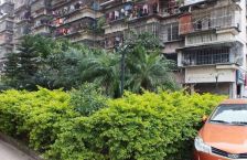 仓山麦德龙旁商品房、小户型、低总价