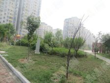 冠亚星城 1室1厅 南