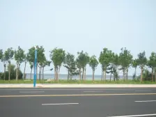 好楼层,好景观,两车位,好视野