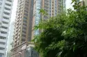 港澳中心实景图