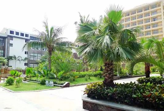凤凰小区实景图