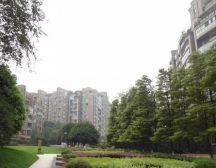 派克公馆 3室2厅 东南