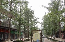 派克公馆 3室2厅 东南