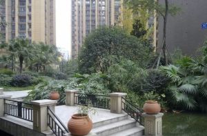 橙花风景2室1厅西南西