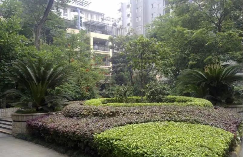 小区相关图