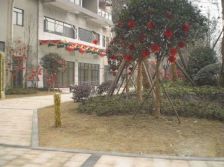 国嘉新视界2室1厅西南