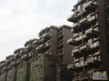 精致装修,格局通透明亮,一线海景房,大开间无遮挡