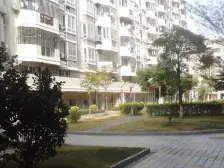 桥亭街 1室1厅 西南