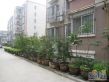 百花路家属院实景图