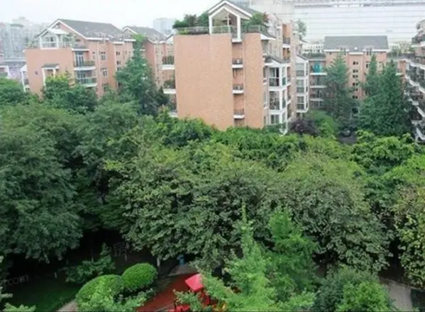 置信逸都天乐苑实景图
