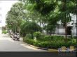 六米晨曦实景图