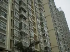 电梯高层 客厅大阳台朝南 全天日嗮充足 全景看植物园