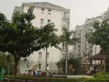 双鲤新城 3室1厅 东南