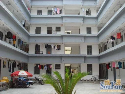  ���ǹ�Ԣ1��1���ϱ�����800.00Ԫ/�³��� 