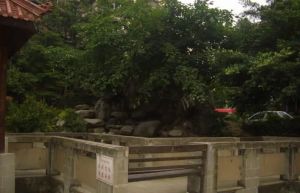 花园四期3室2厅南