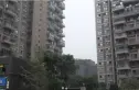 中大君悦金沙四期实景图