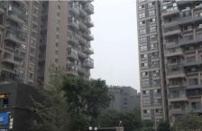 中大君悦金沙四期2室1厅南