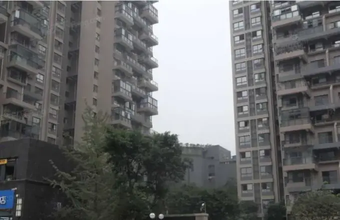中大君悦金沙四期实景图
