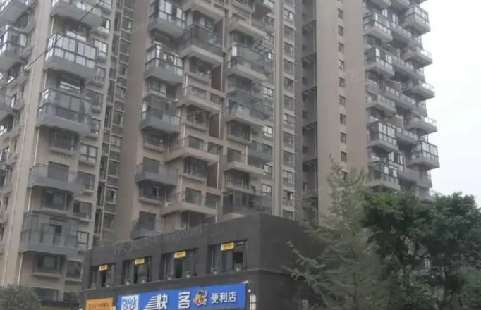 中大君悦金沙四期实景图