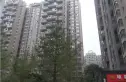 中大君悦金沙四期实景图