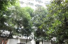 金桔花园二期南苑3室2厅东南
