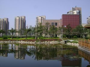 楼栋位置好楼层好阳光和视野好未住过纯毛坯诚心卖