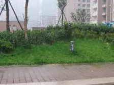 房子是精装 双拼别墅 大花园 看房方便