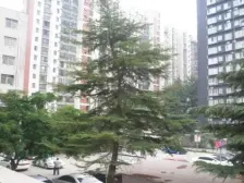 双拼别墅,临大湖,景观好,精致大庭院