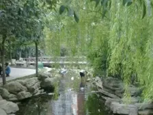 二中隔壁 双气三房 满五年 业主诚心出售 看房提前联系