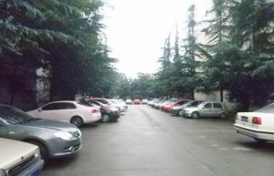 花园一期 3室2厅 东