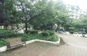 花园一期3室1厅北