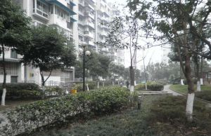 光华馨地3室1厅东南