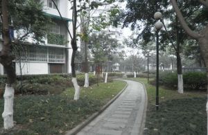 光华馨地2室1厅南