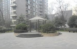 百仁安盛3室1厅南西南