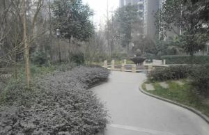 百仁安盛3室2厅西南