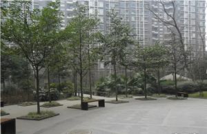 百仁安盛3室2厅东南西南